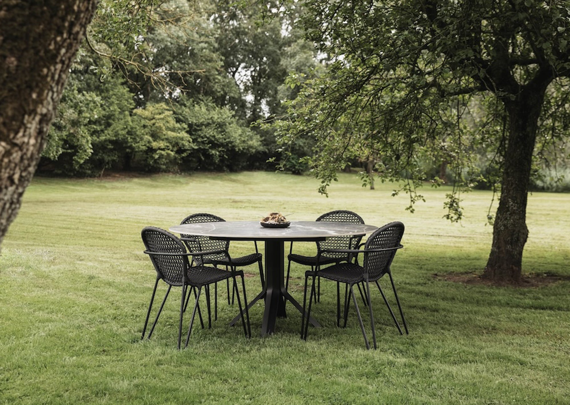 Fizz Dining Chair