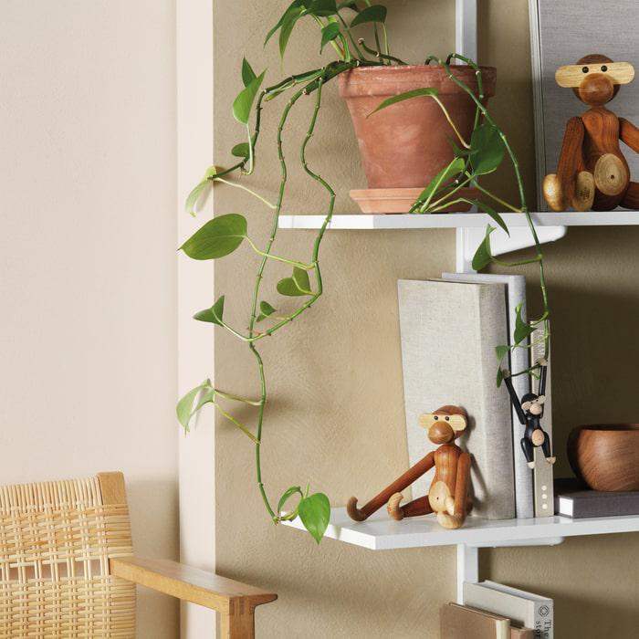 Monkey — Teak/Limba