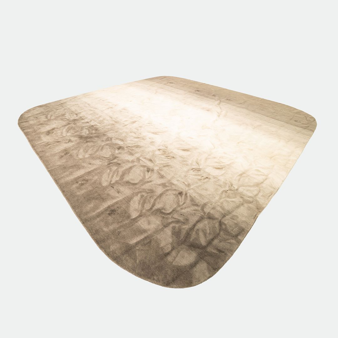Area Rug