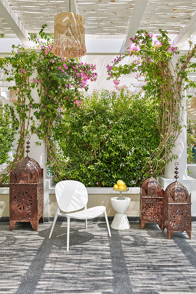 Be Bop Lounge Chair