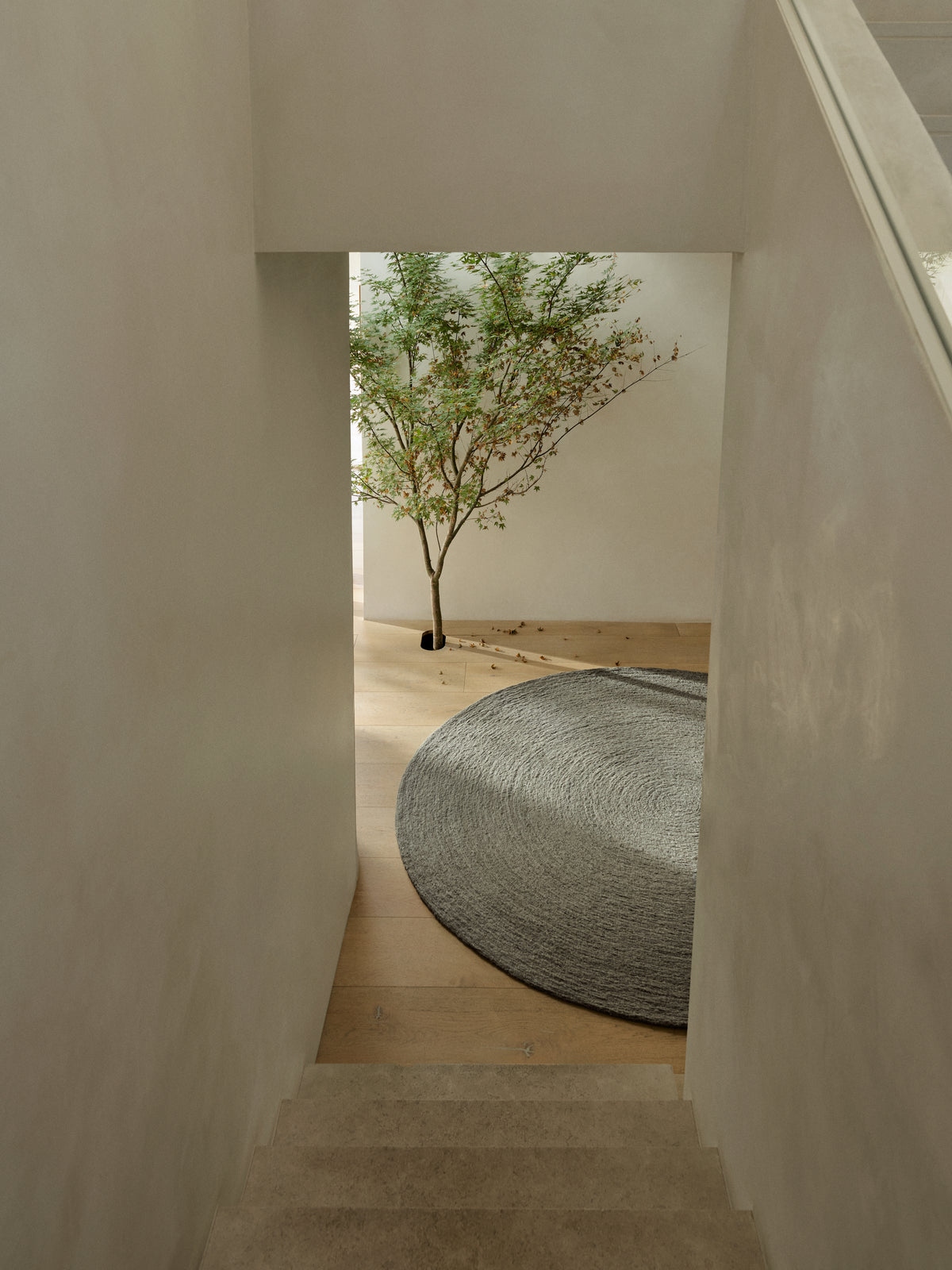 Nimbus Rug
