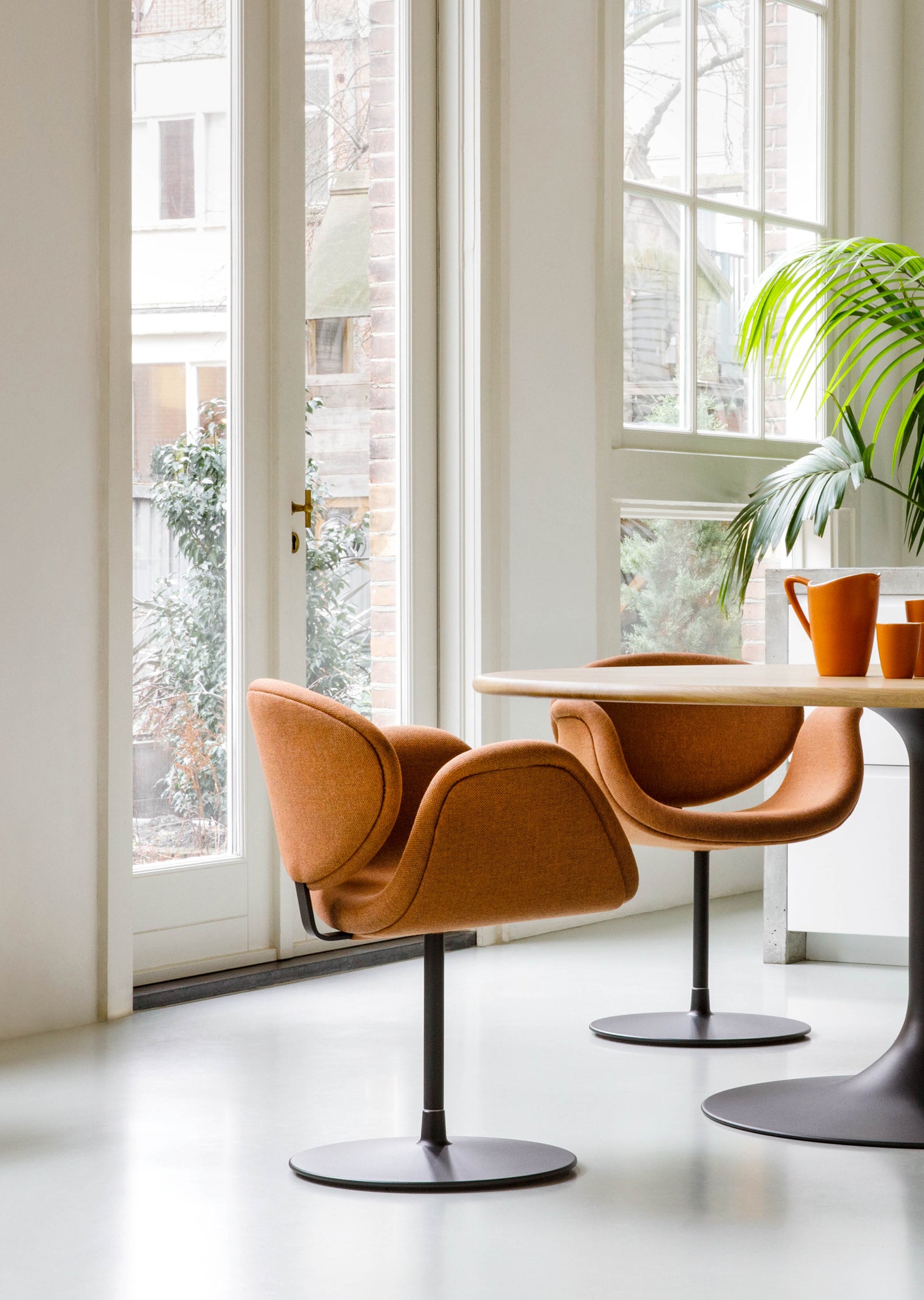 Little Tulip Dining Chair โ Disc Base