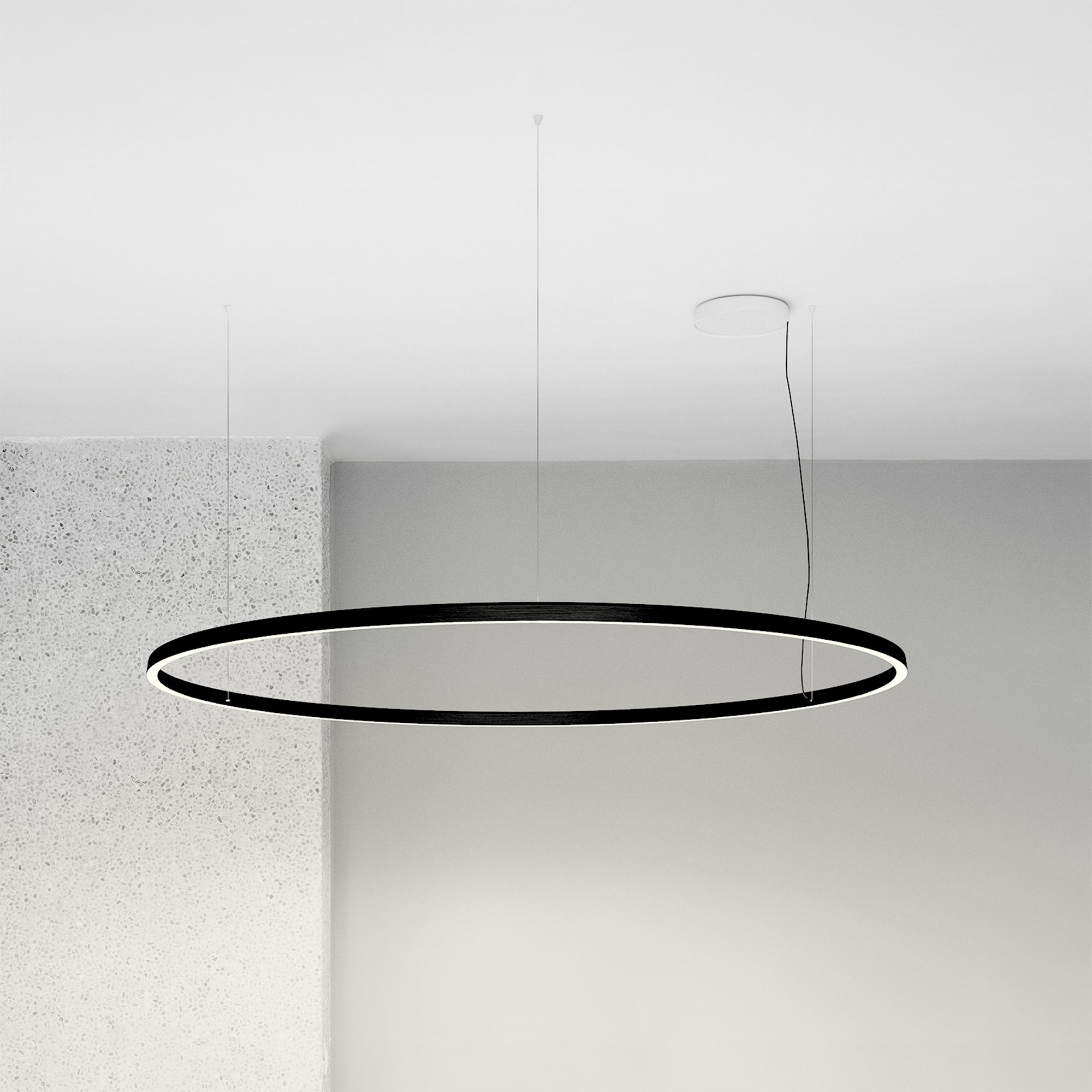 Compendium Circle Suspension Lamp