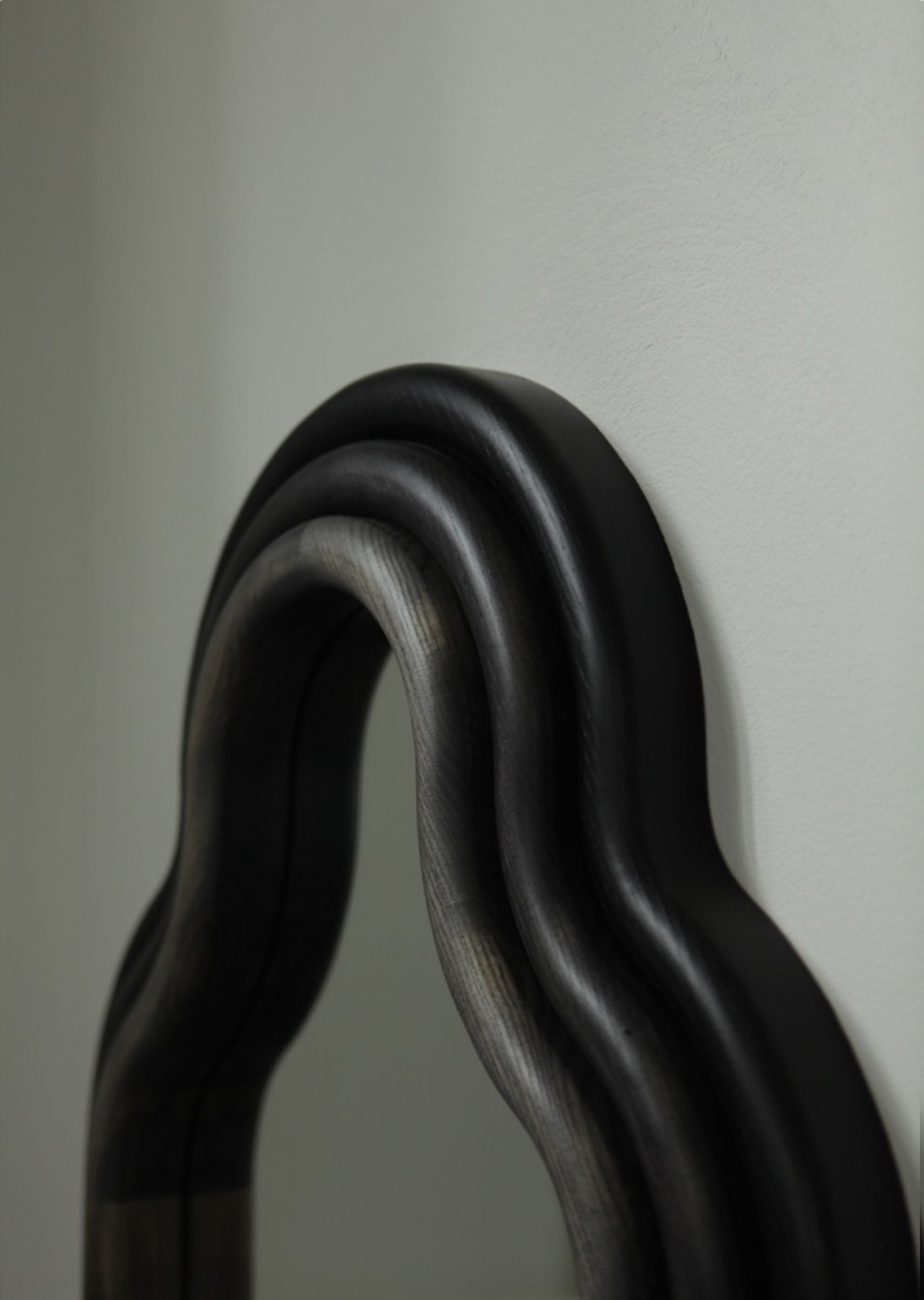 TRN Mirror