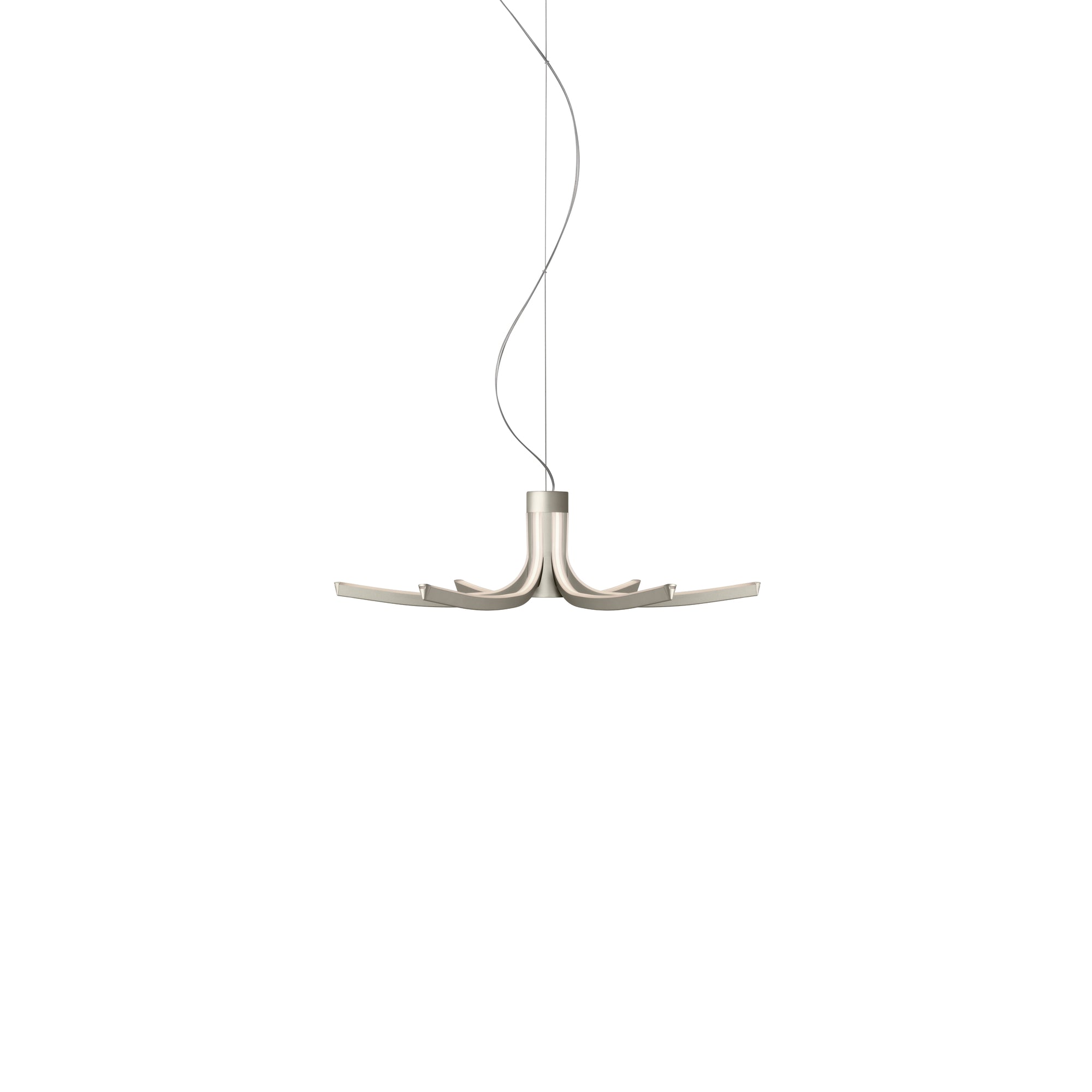 Asteria Pendant Lamp