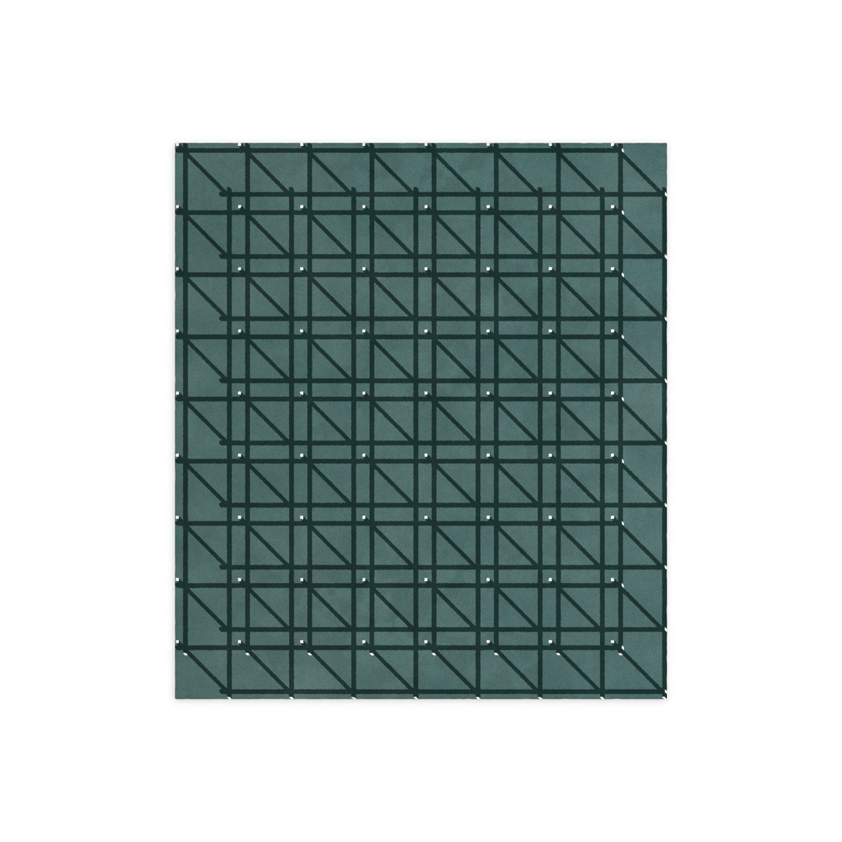 RG-01 Rug by Christian Borger, Celadon, 10×12, top-down view