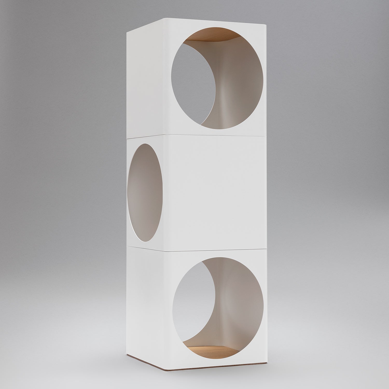 Ring Modular Storage