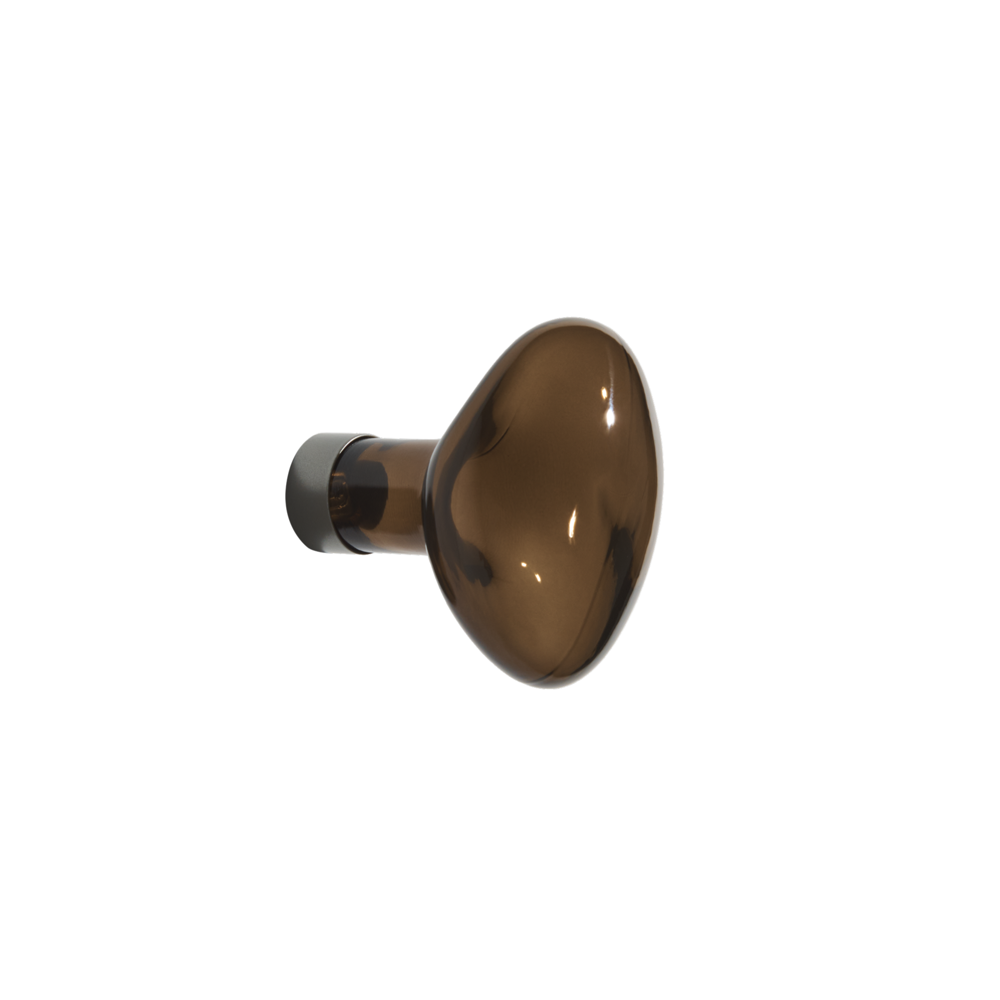 Bubble Coat Hook