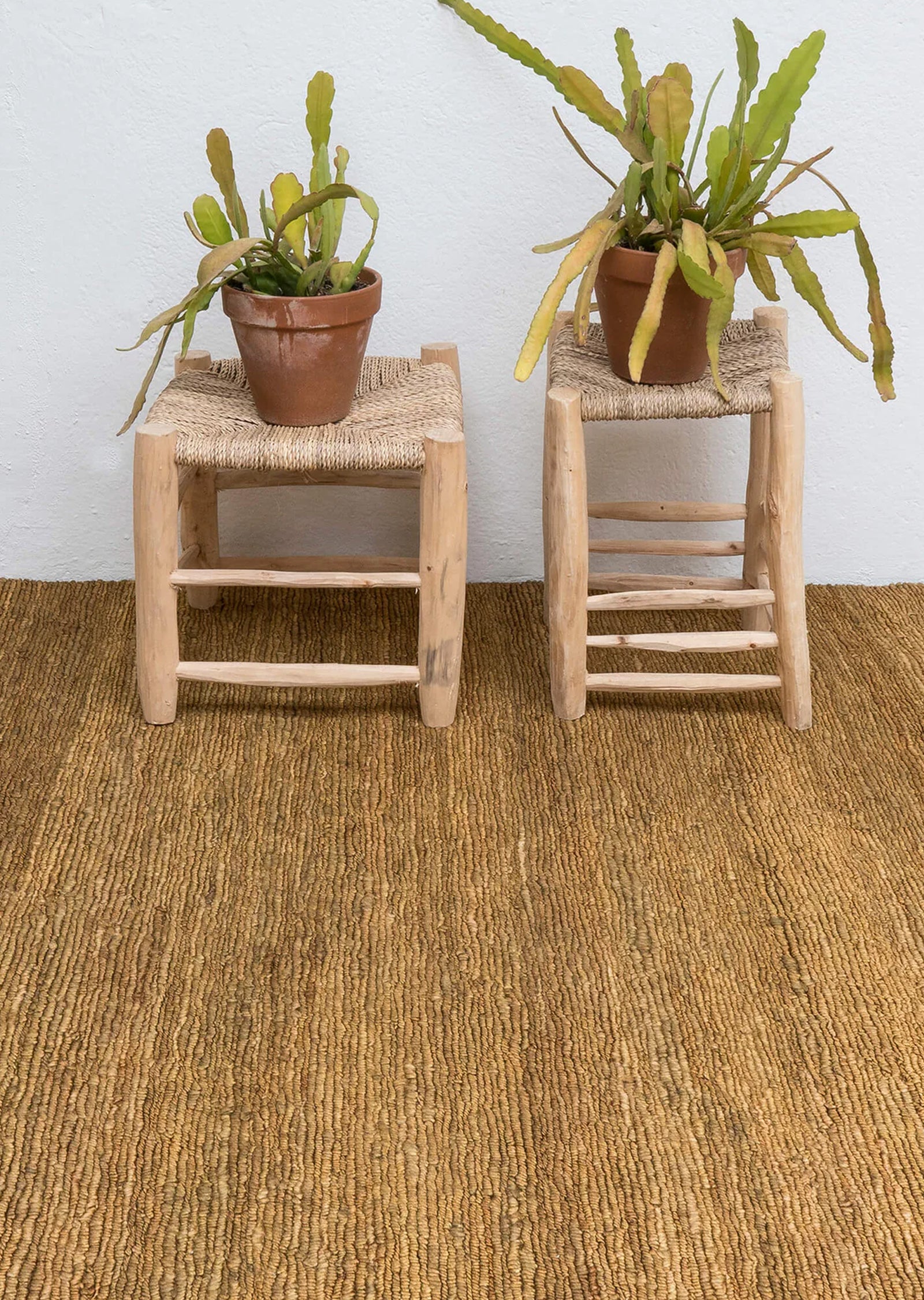 Earth Rug