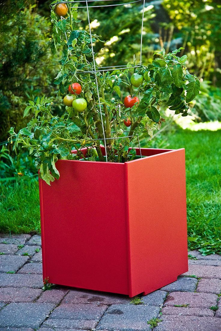 Mondo Planter — Single