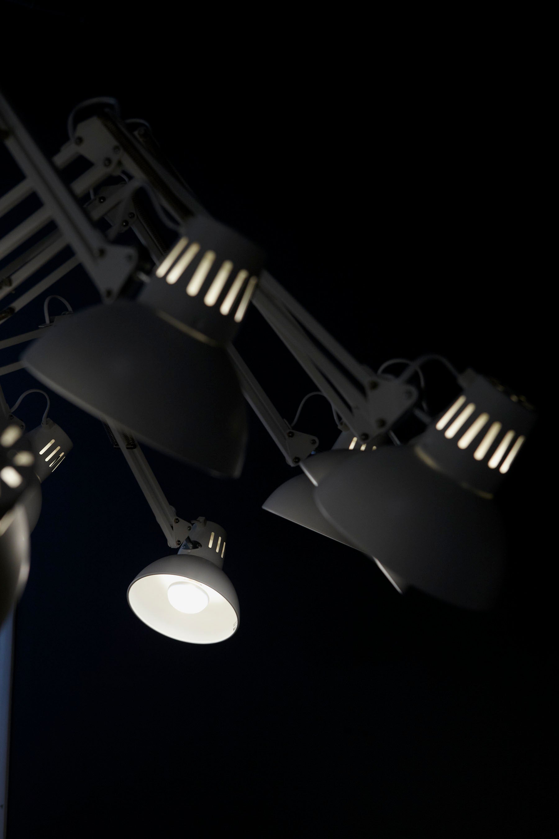 Dear Ingo Suspension Lamp