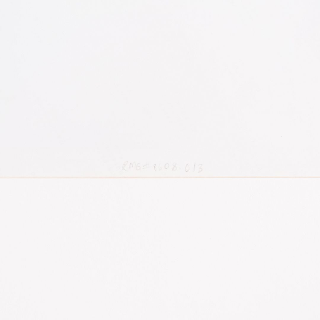 Still Life Photograph
