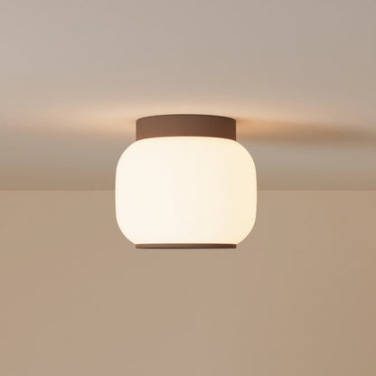Canopy Flush Mount