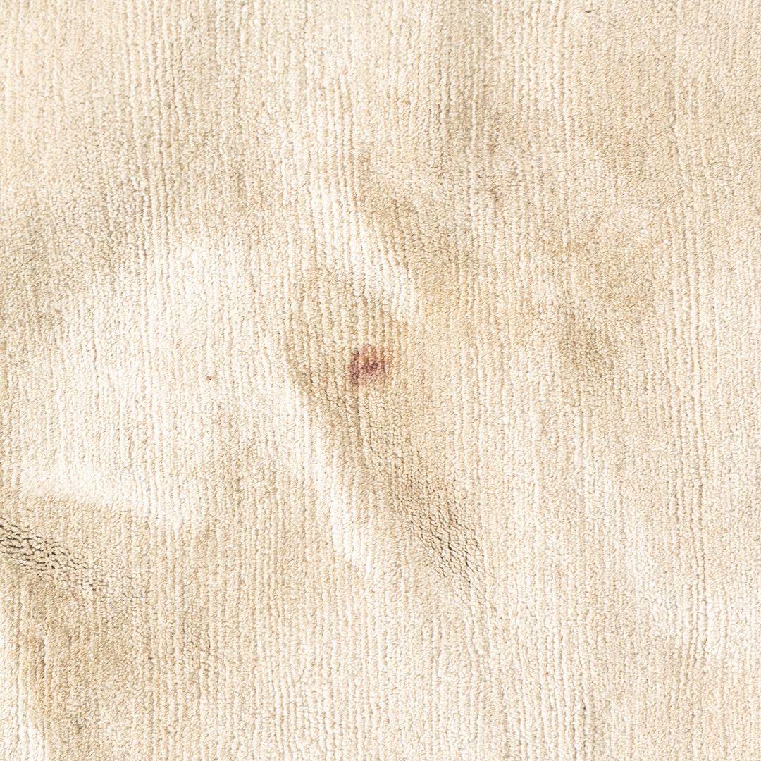 Area Rug