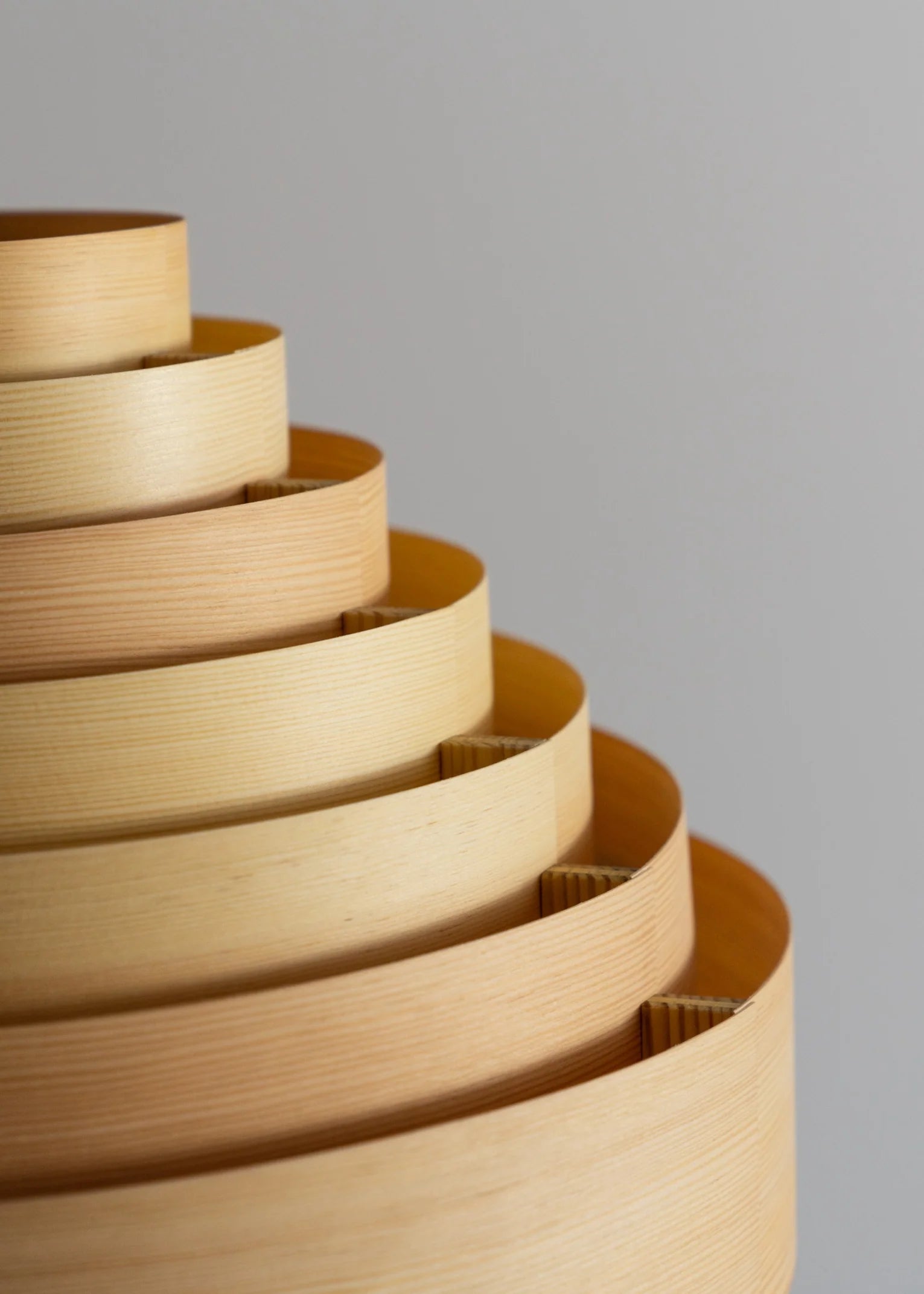 1001 Hans Pendant Lamp