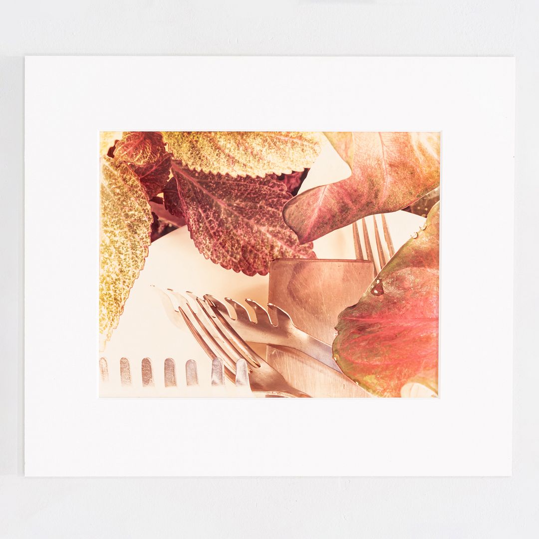 Still Life Photograph