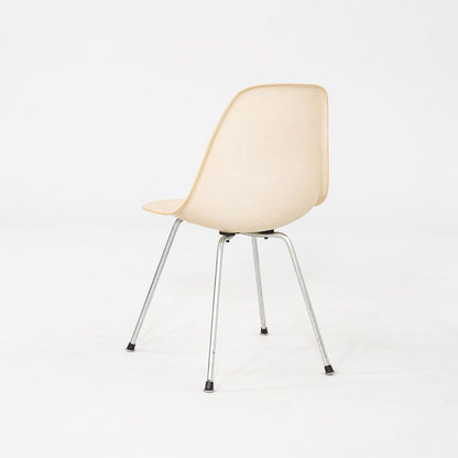 DSX Chair