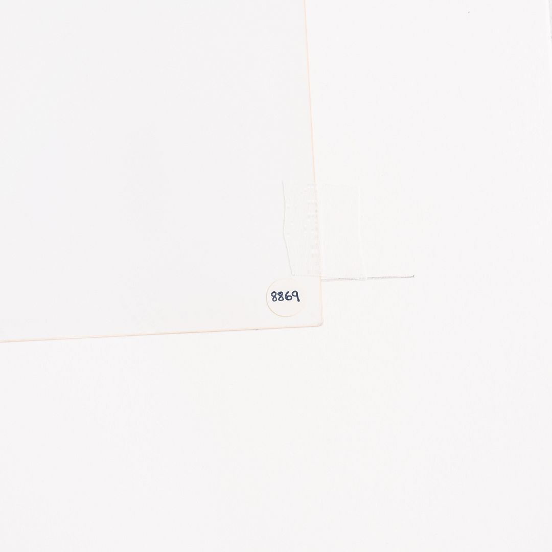 Still Life Photograph