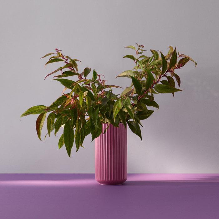 Lyngby Porcelaen Vase — Purple