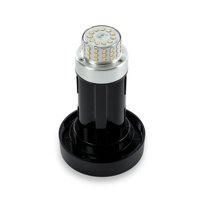 Jack Portable Lamp