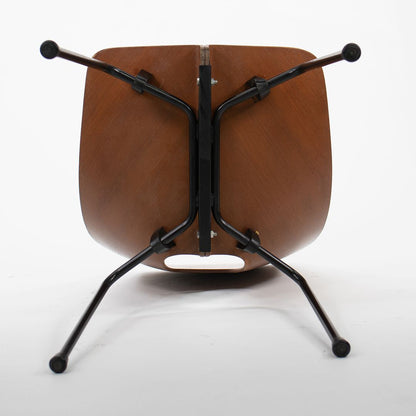 Bentwood Dining Chairs