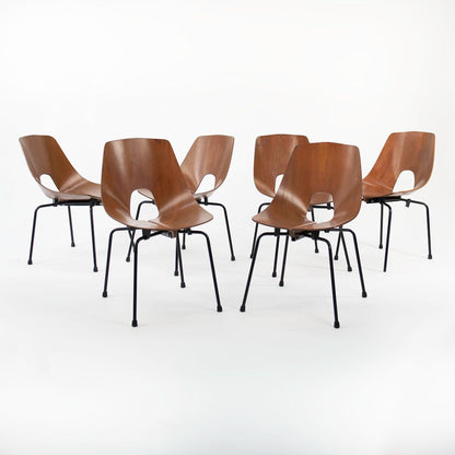 Bentwood Dining Chairs