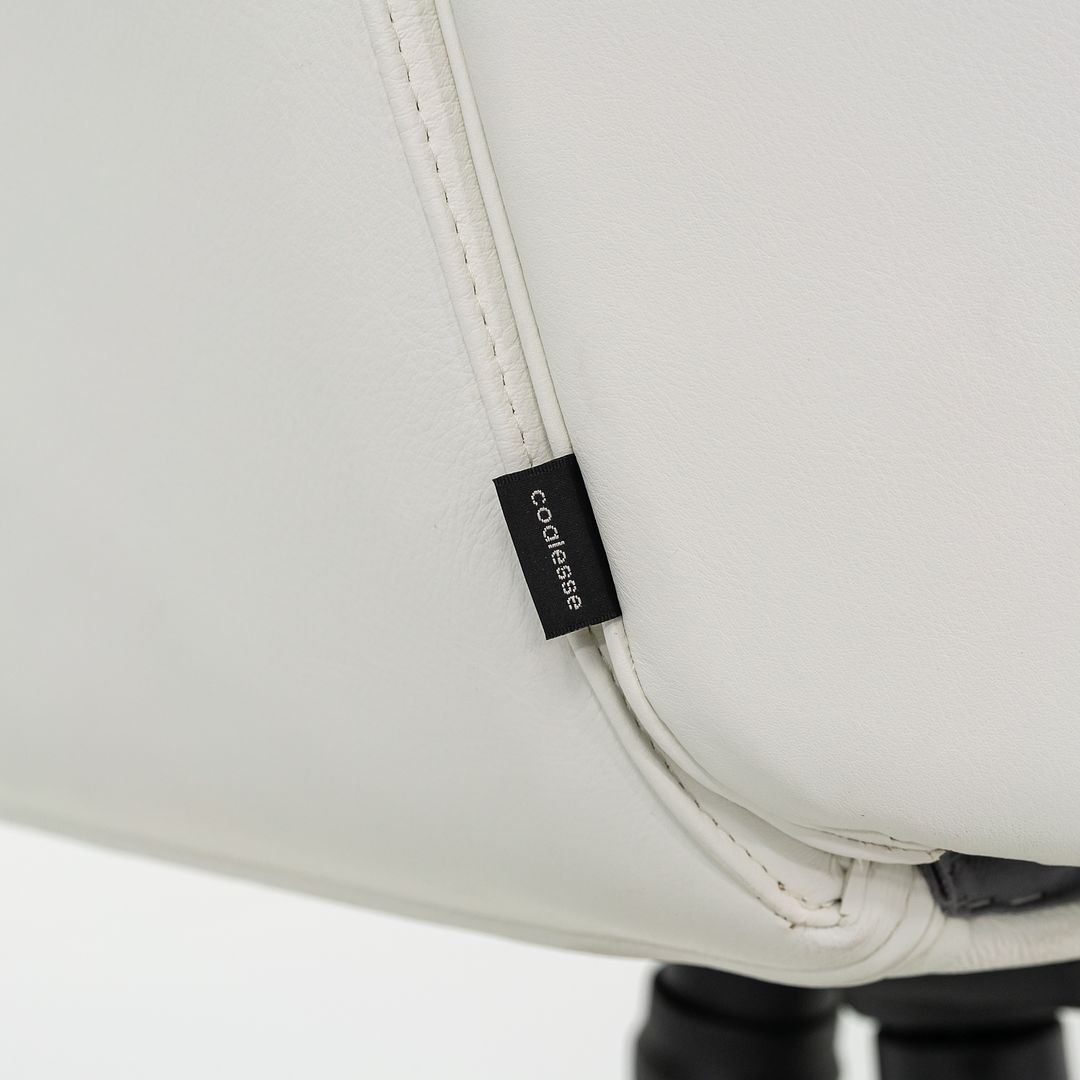 Bindu Executive Desk Chair