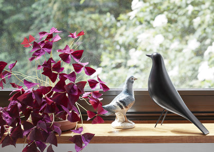 Eames House Bird