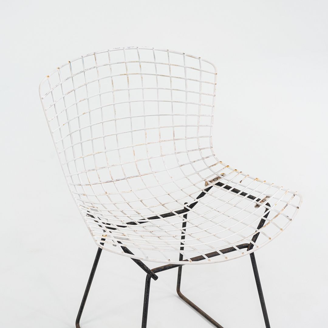 Bertoia Two Tone Side Chair