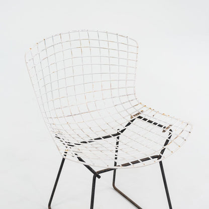 Bertoia Two Tone Side Chair