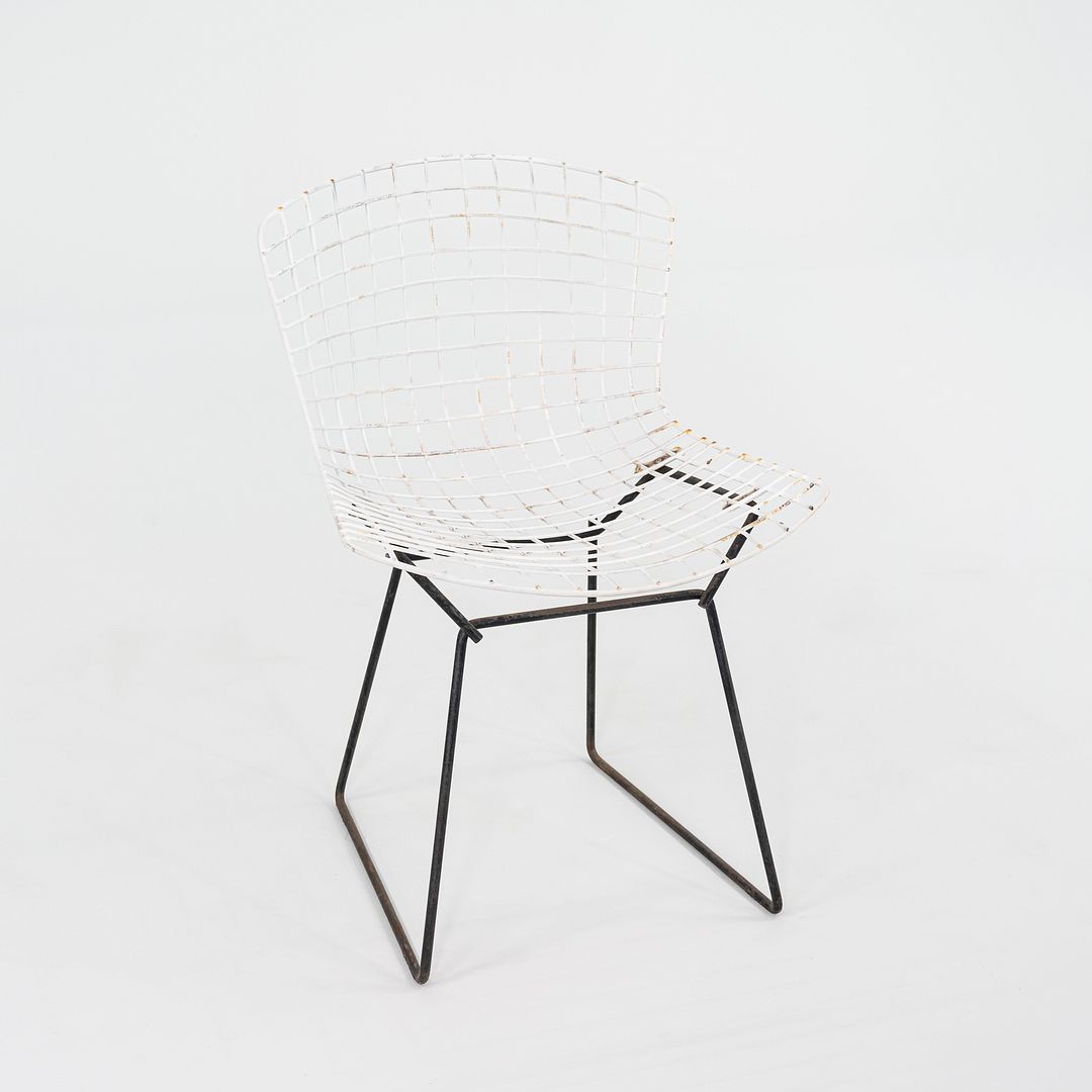 Bertoia Two Tone Side Chair