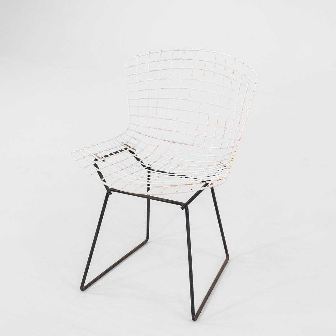 Bertoia Two Tone Side Chair