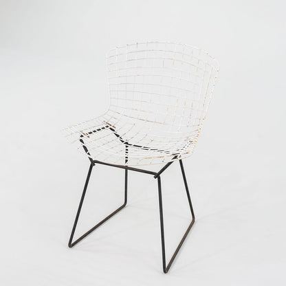 Bertoia Two Tone Side Chair