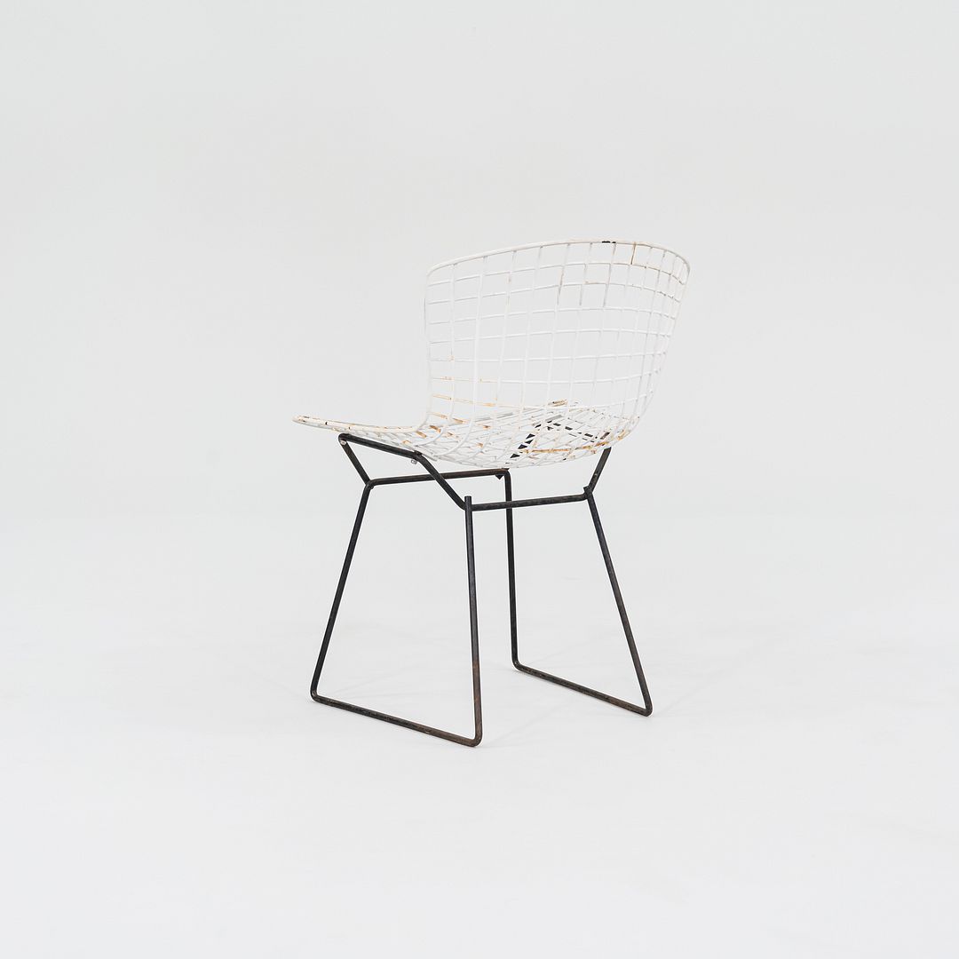 Bertoia Two Tone Side Chair