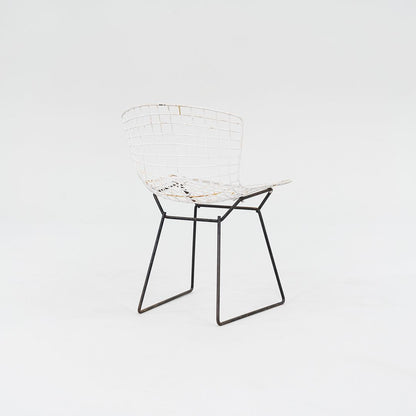 Bertoia Two Tone Side Chair