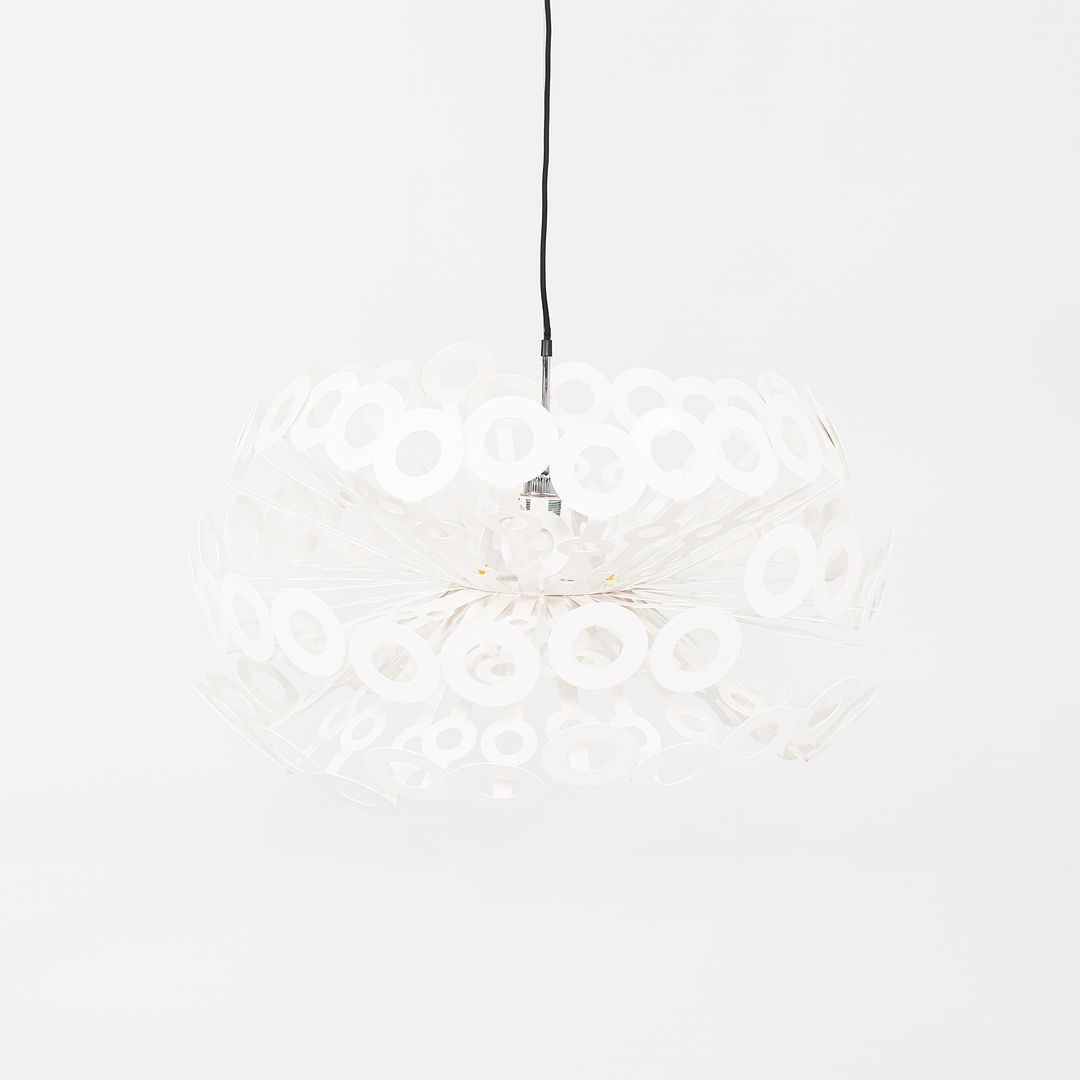 Dandelion Pendant Lamp