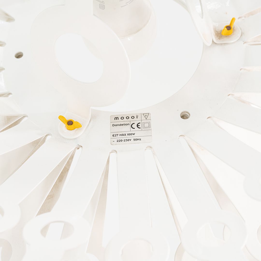 Dandelion Pendant Lamp