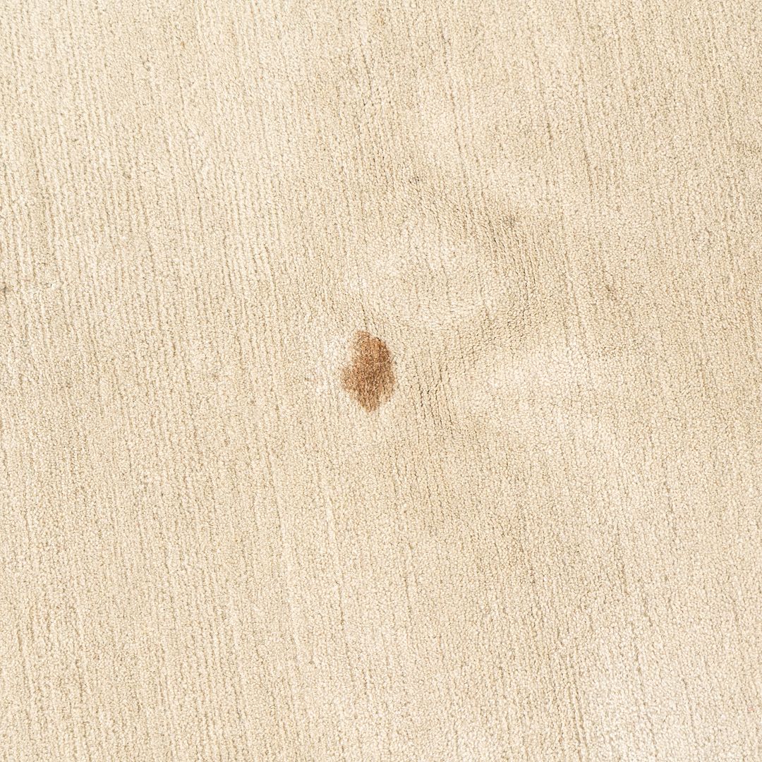 Area Rug