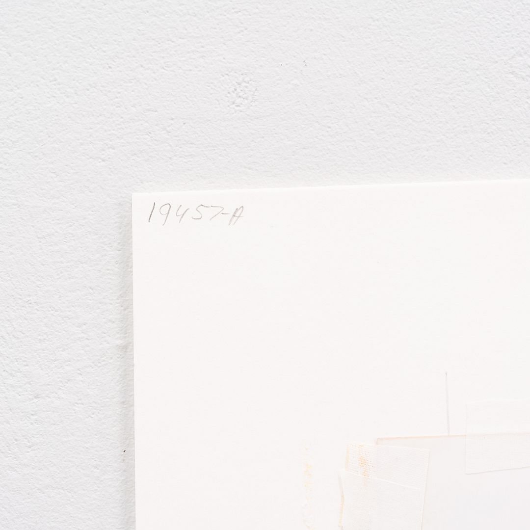 Still Life Photograph