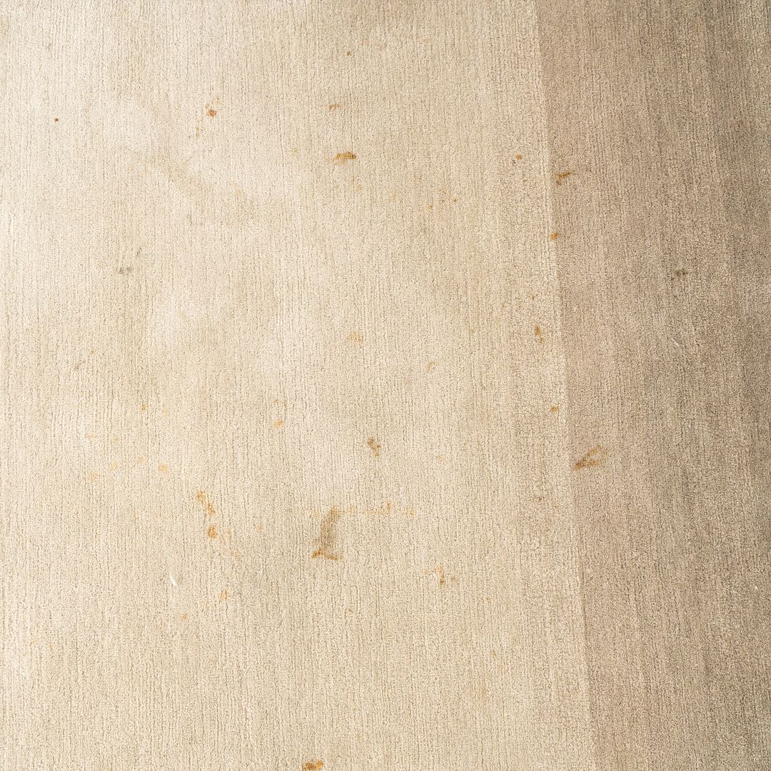 Area Rug