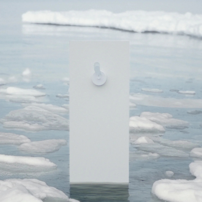 Birdie® 2.0 — Glacier
