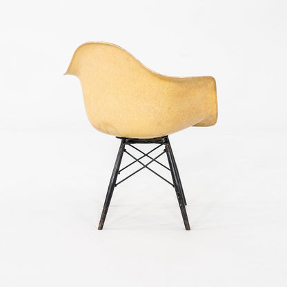 PAW Chair