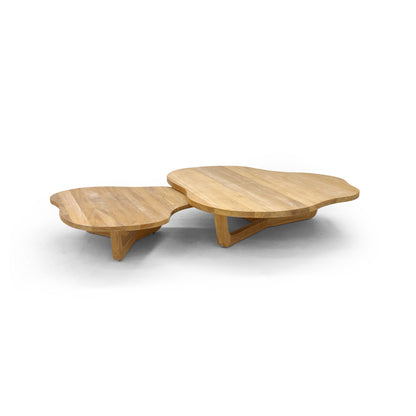 Brindisi Organic Coffee Table