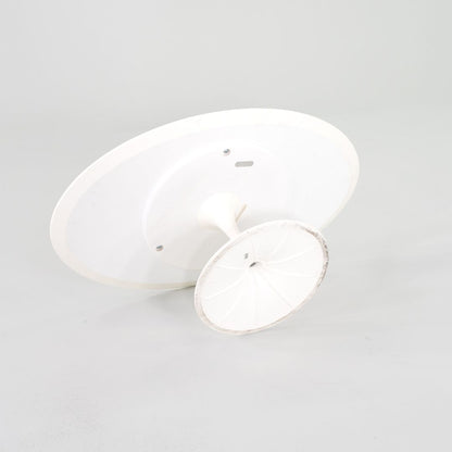 Oval Tulip Coffee Table, Model 162