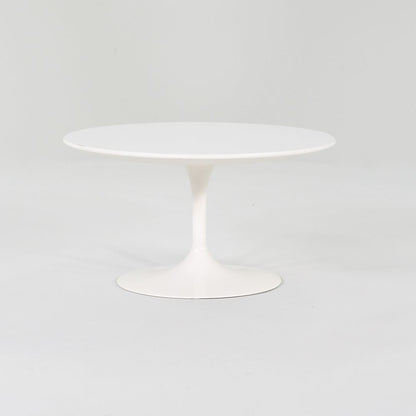 Oval Tulip Coffee Table, Model 162