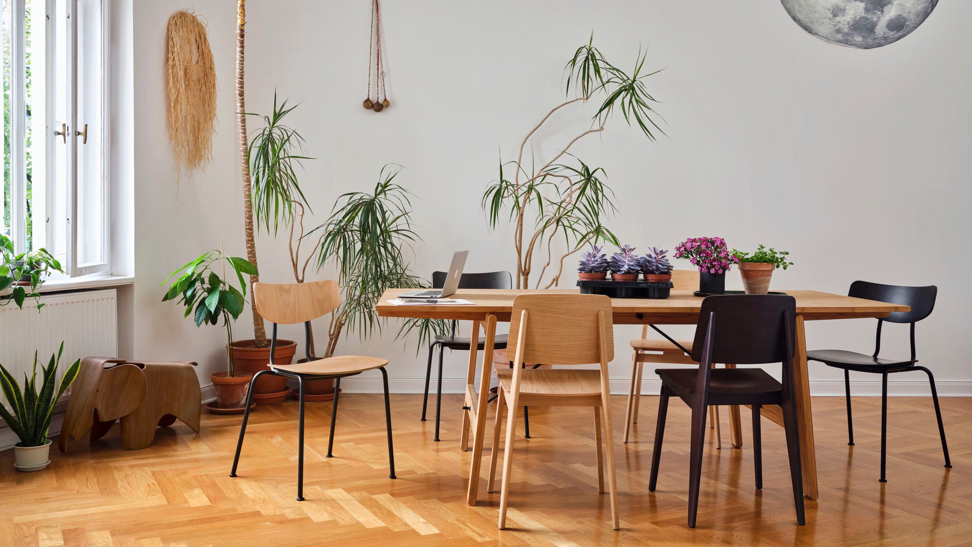 Chaise Tout Bois Chair