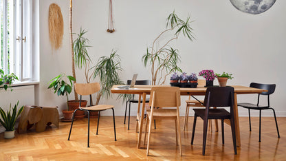 Chaise Tout Bois Chair