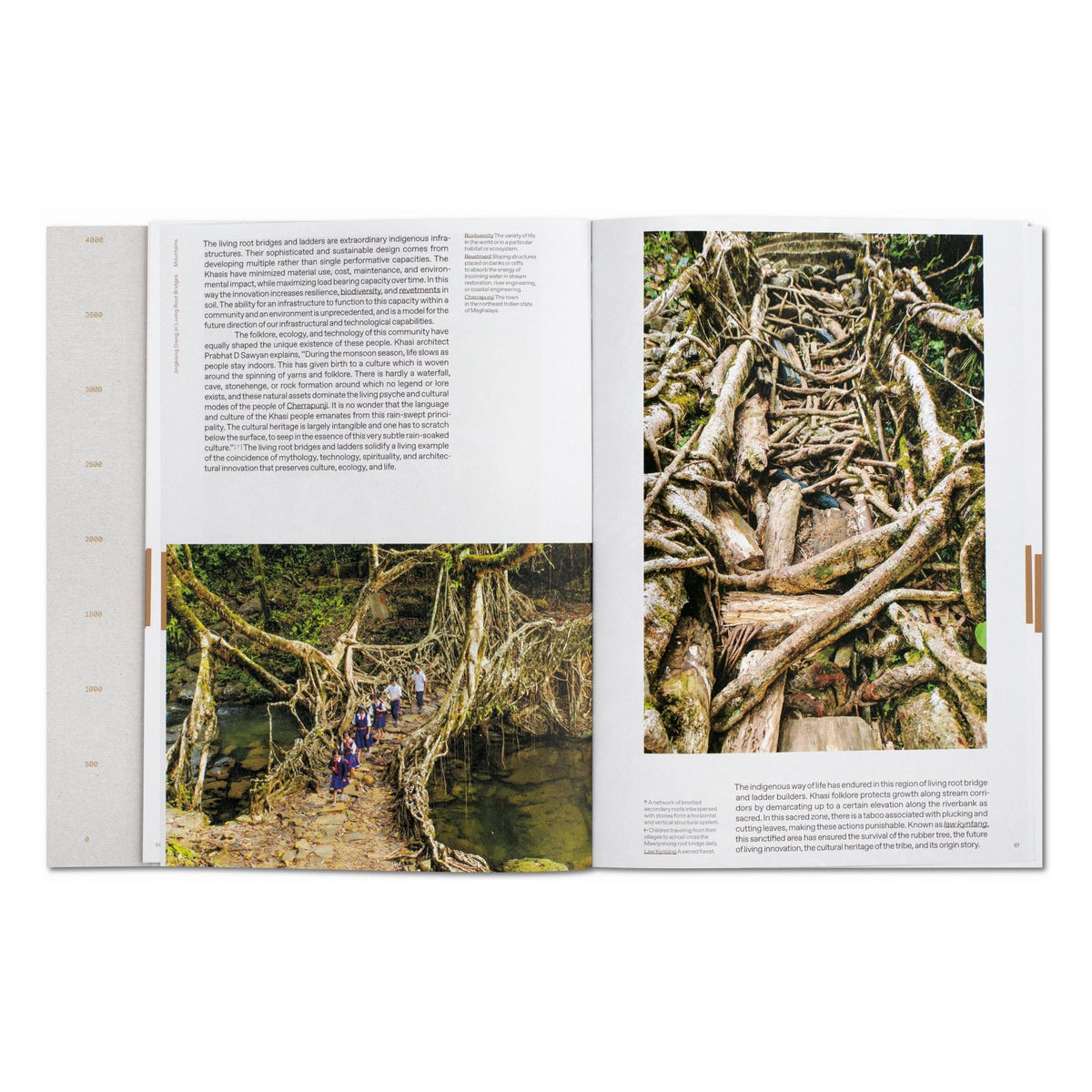 Julia Watson. Lo—TEK. Design by Radical Indigenism (English)