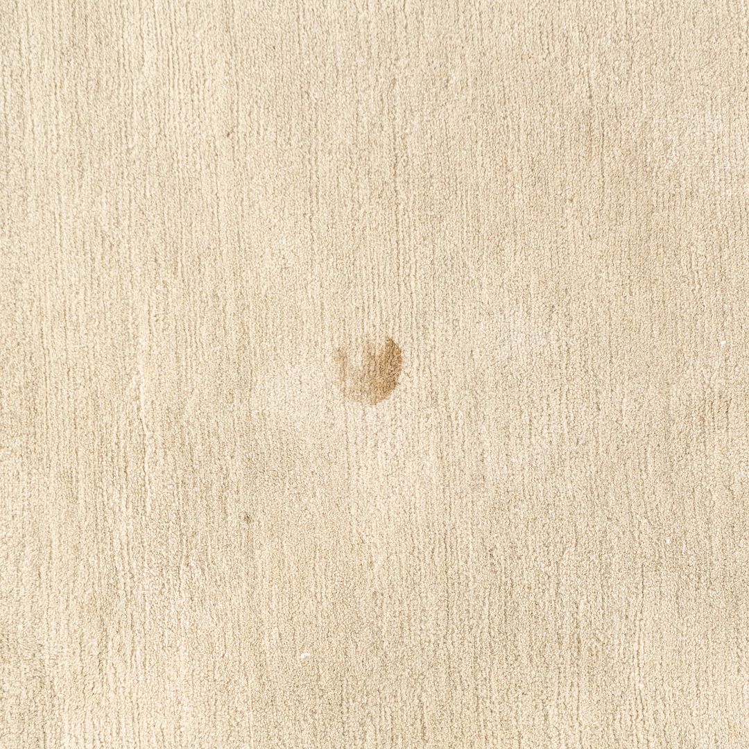 Area Rug