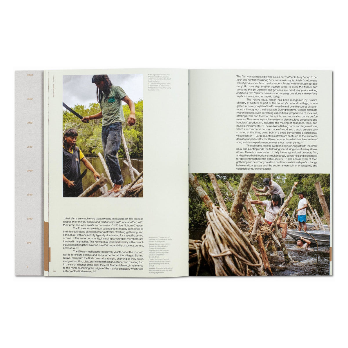Julia Watson. Lo—TEK. Design by Radical Indigenism (English)